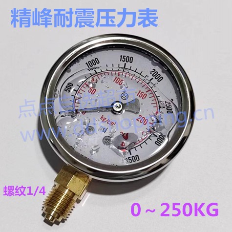 国产精锋耐震压力表 不锈钢壳 JF-YN60系列 1/4螺纹