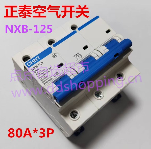 正泰小型断路器  空气开关  NXB-125