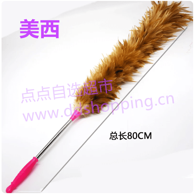  美西鸡毛掸子 不锈钢柄